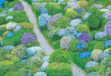 Fiddlehead – Between The Richness