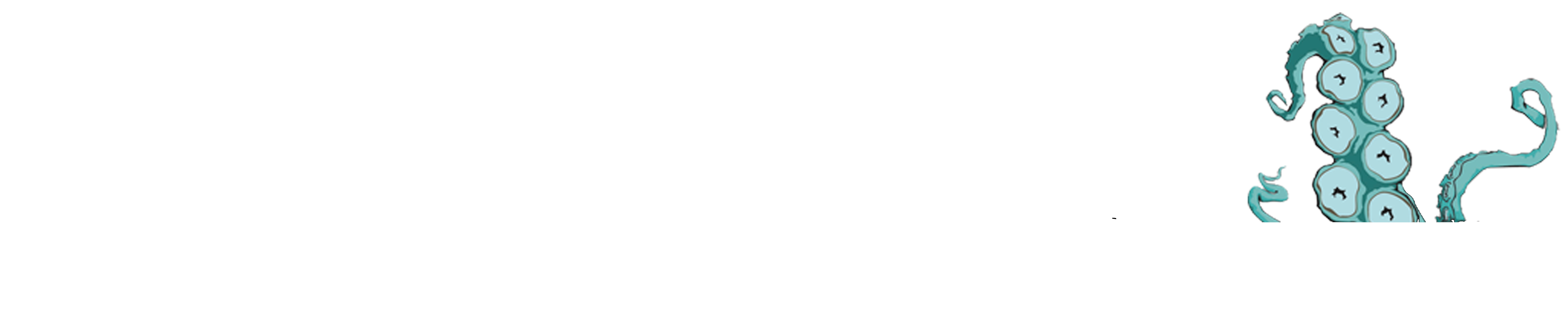 Count Your Bruises Magazine