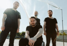 Neue Single „Sharp Dressed Animal“ von Fheels