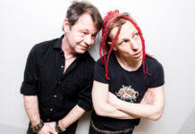 Abstürzenden Brieftauben: Show in Hannover abgesagt Abstürzende Brieftauben