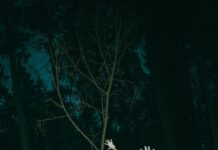 Deichkind im Sommer ’23 in Hannover Deichkind