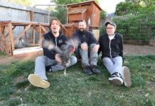 Chris von Boss’ Daughter im Interview Boss Daughter