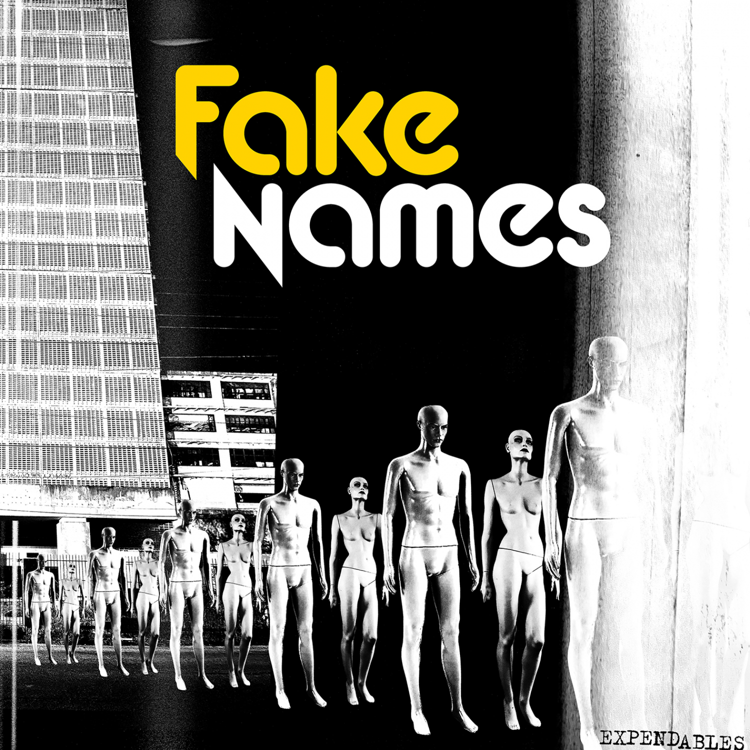 Fake Names - Expendables Albumcover