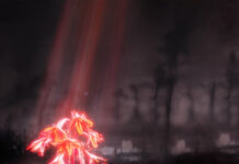 Enter Shikari – A Kiss For The Whole World Enter Shikari - A Kiss For The Whole World