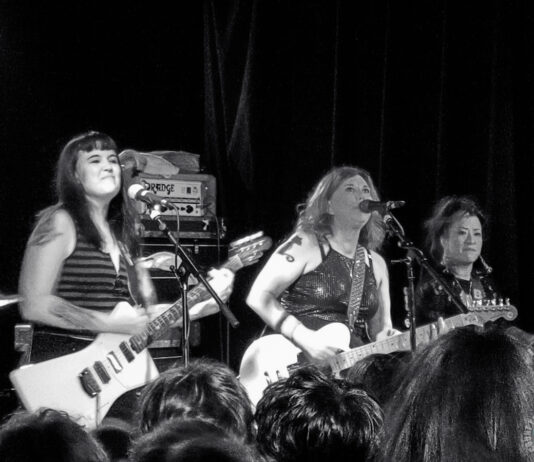 Bad Cop/Bad Cop, The Venomous Pinks und North Alone in Hannover