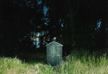 Frank Carter & The Rattlesnakes – Dark Rainbow