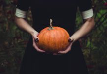 Gänsehaut im Moshpit: Die perfekte Punk- und Metal-Playlist für Halloween Gänsehaut im Moshpit: Die perfekte Punk- und Metal-Playlist für Halloween
