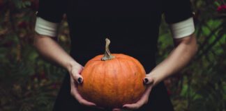 Gänsehaut im Moshpit: Die perfekte Punk- und Metal-Playlist für Halloween Gänsehaut im Moshpit: Die perfekte Punk- und Metal-Playlist für Halloween