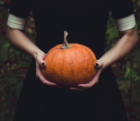 Gänsehaut im Moshpit: Die perfekte Punk- und Metal-Playlist für Halloween Gänsehaut im Moshpit: Die perfekte Punk- und Metal-Playlist für Halloween