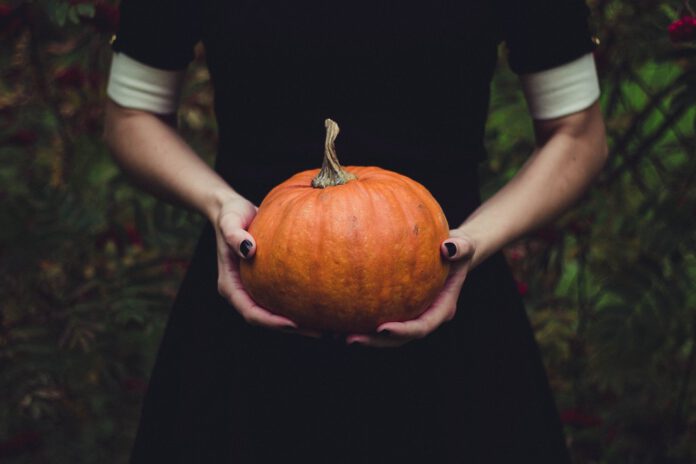 Gänsehaut im Moshpit: Die perfekte Punk- und Metal-Playlist für Halloween